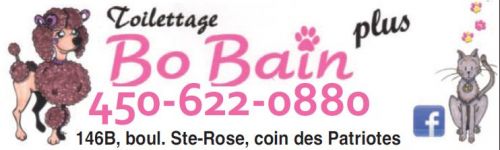 Toilettage Bo Bain Plus à Laval